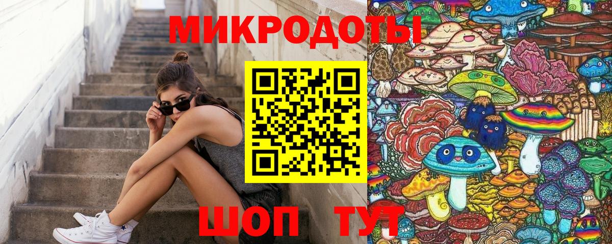 Тосно  Псилоцибиновые грибы прущие грибы  Псилоцибиновые грибы Cubensis  Вход с VPN 